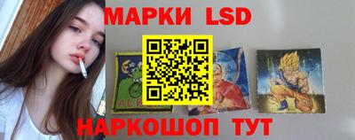 стаф Кимры