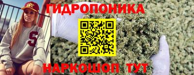 соль курить ск Кингисепп